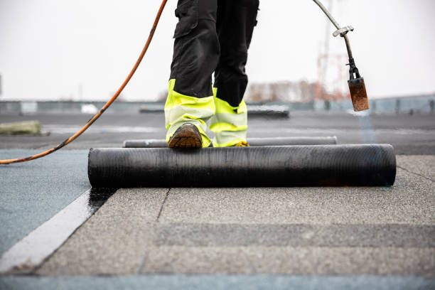 Best Metal Roofing Installation  in Clayco, MO